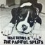 Max Bemis & The Painful Splits