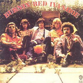 Burnin Red Ivanhoe cover