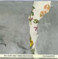 Baby Blue Bones cover
