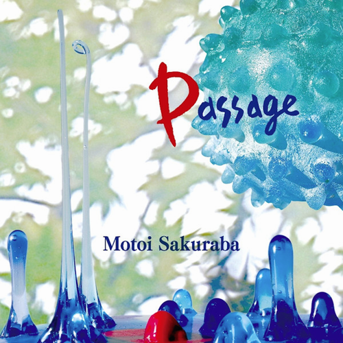 Passage cover