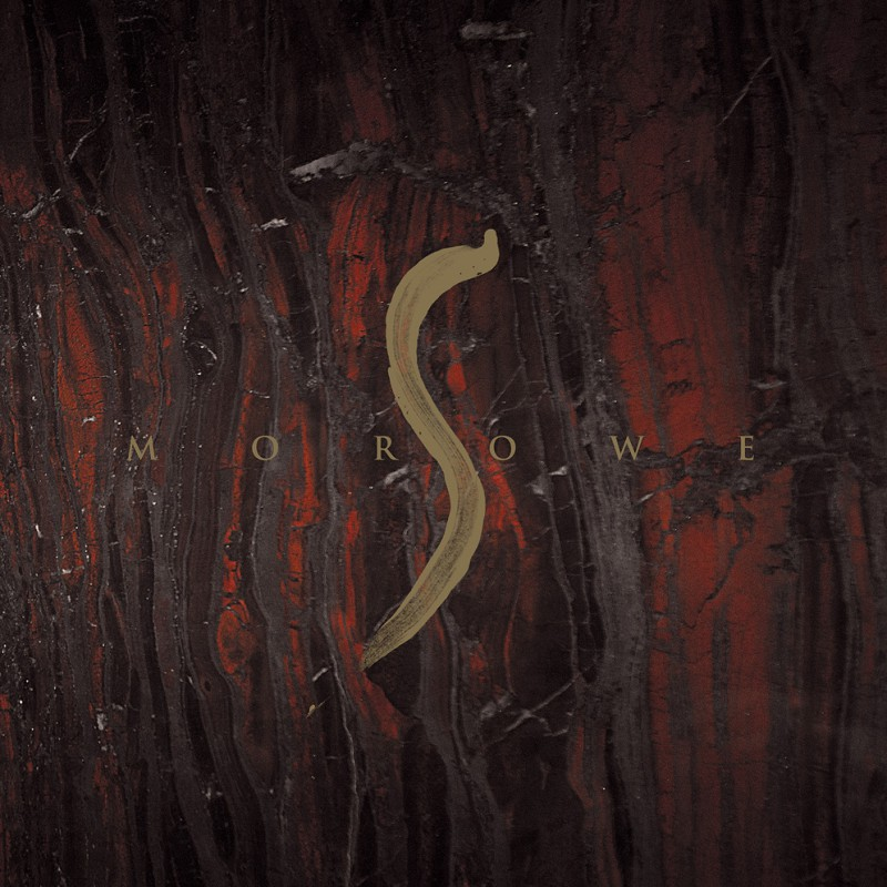 S cover