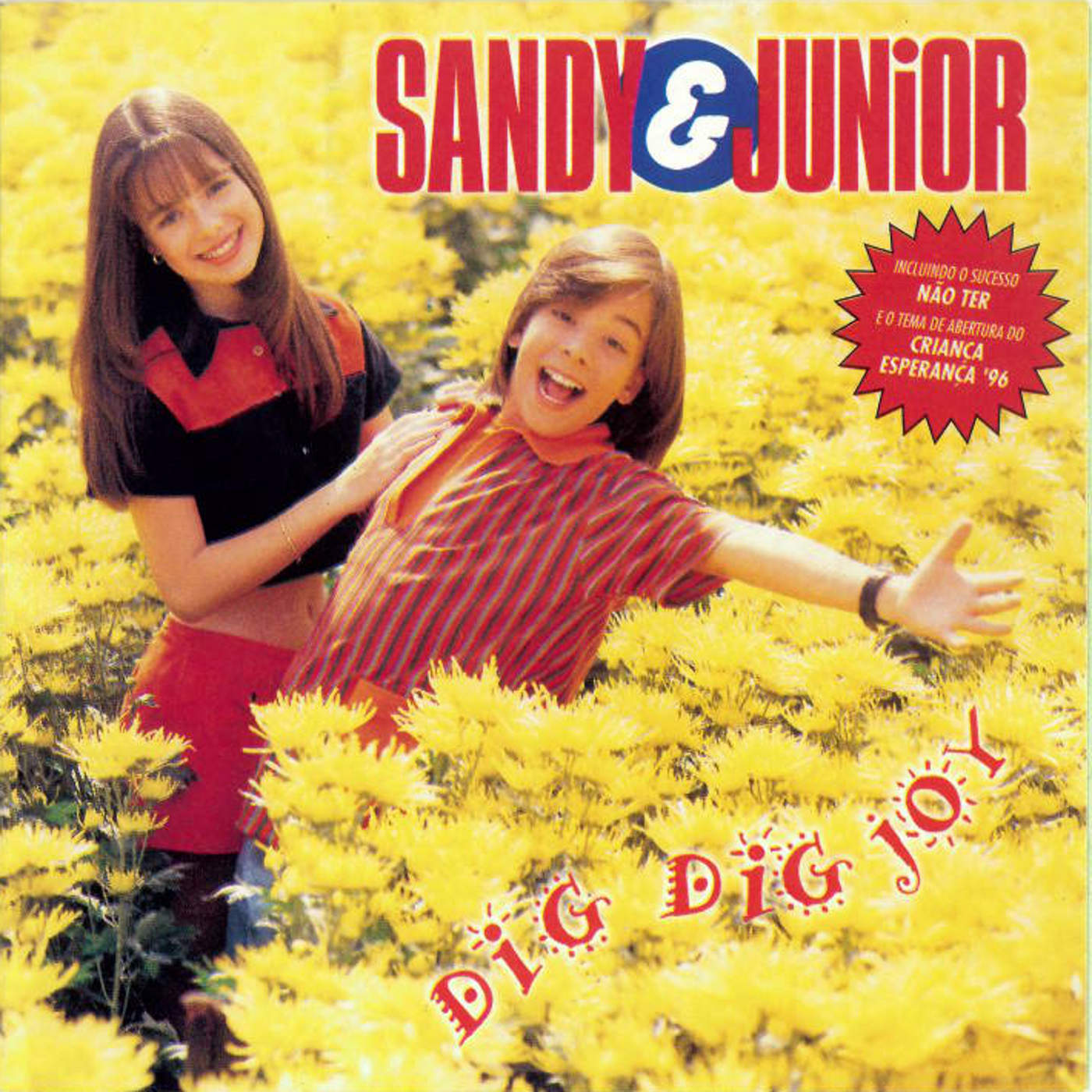 Dig Dig Joy cover
