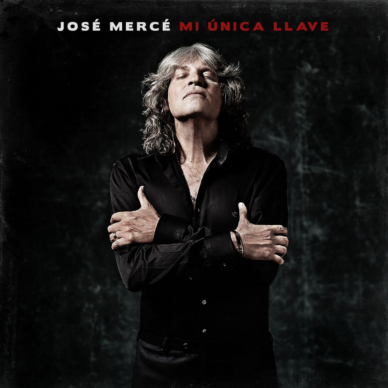 Mi Única Llave cover