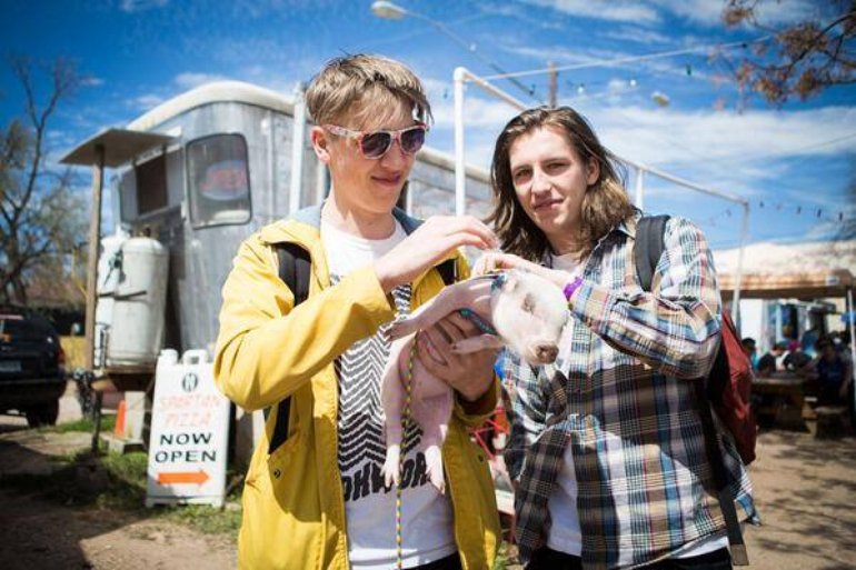 Drenge brothers stroke piglet