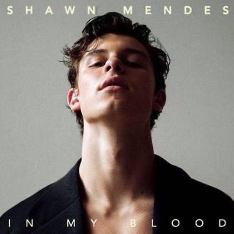 Shawn Mendes - In My Blood - Single Artwork (2 of 3) | Last.fm