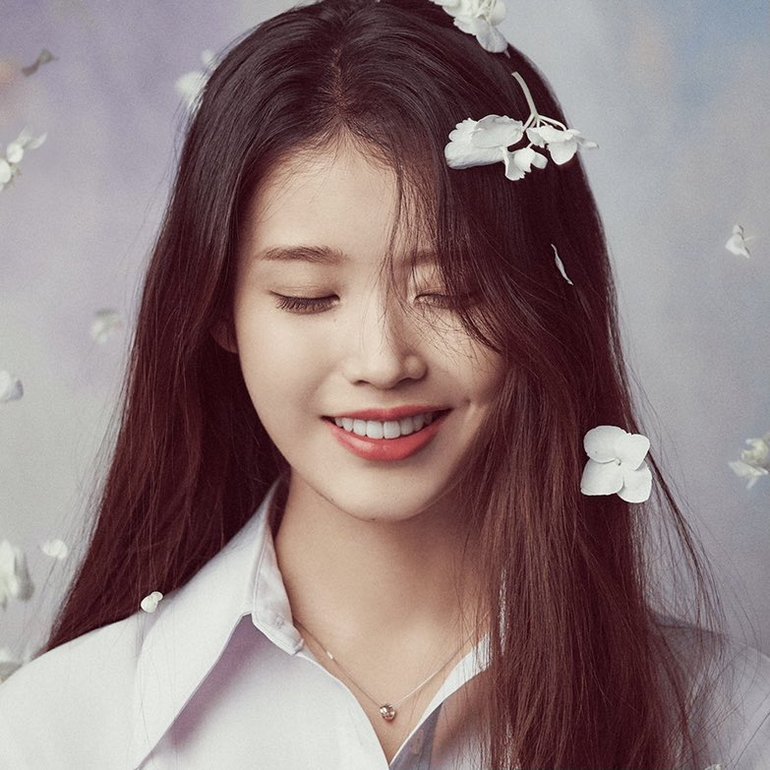 lilac iu