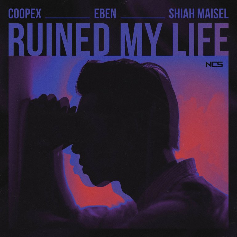Image from the album 'Ruined My Life'