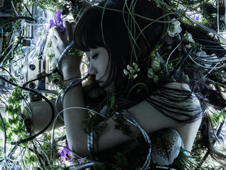 Aimer Fotografii 51 Iz 79 Last Fm