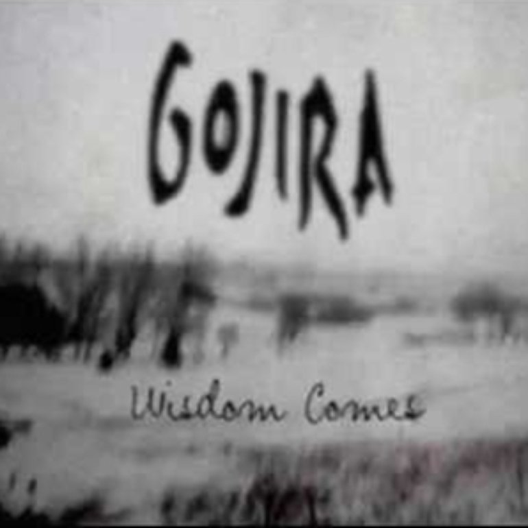 Wisdom Comes - Demo Album Art