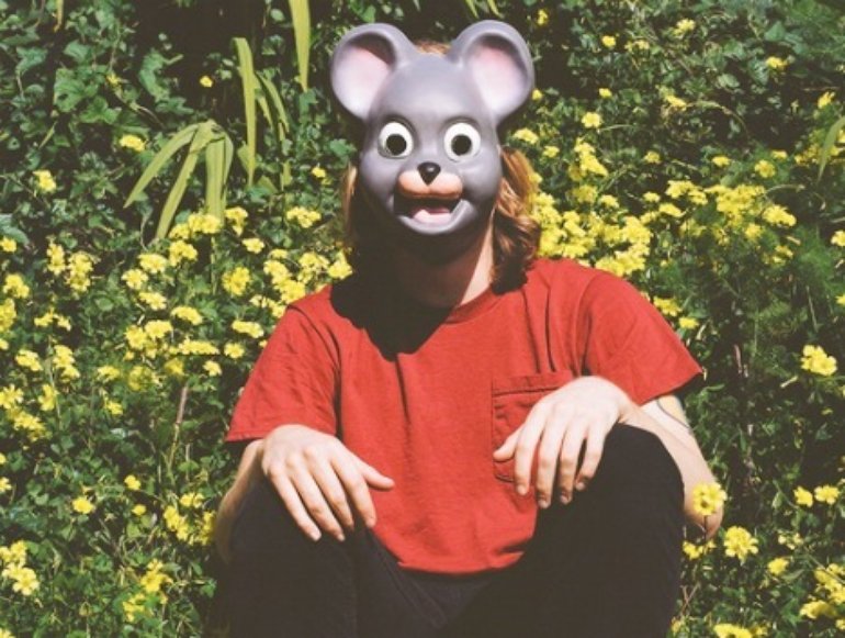rapistkoalamousesegall