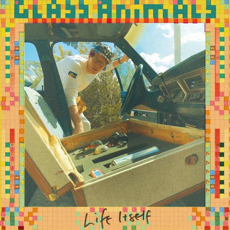 Glass Animals - Life Itself Artwork (2 of 2) | Last.fm