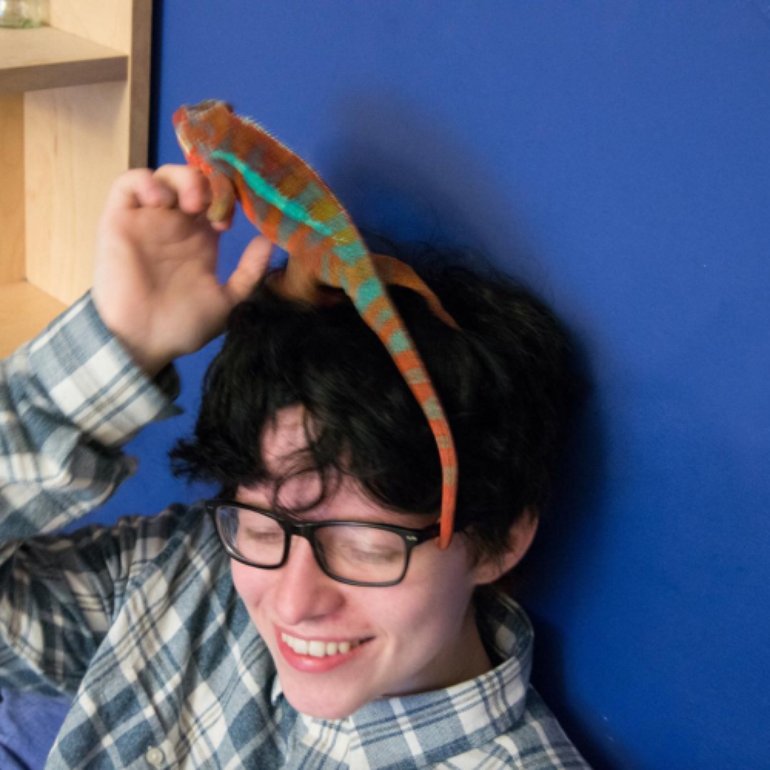 Cavetown Photos (7 of 12) Last.fm