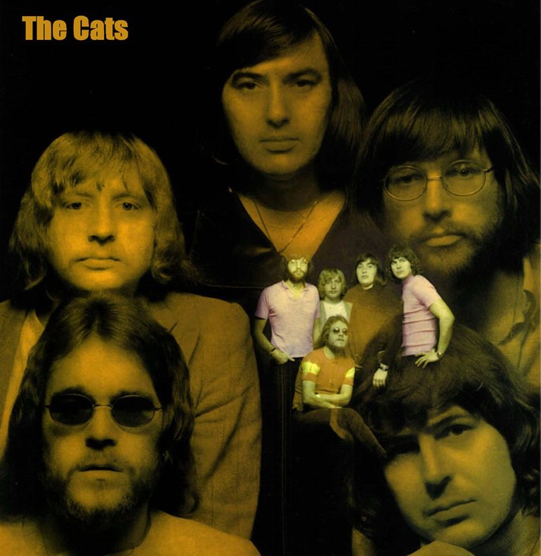 The Cats