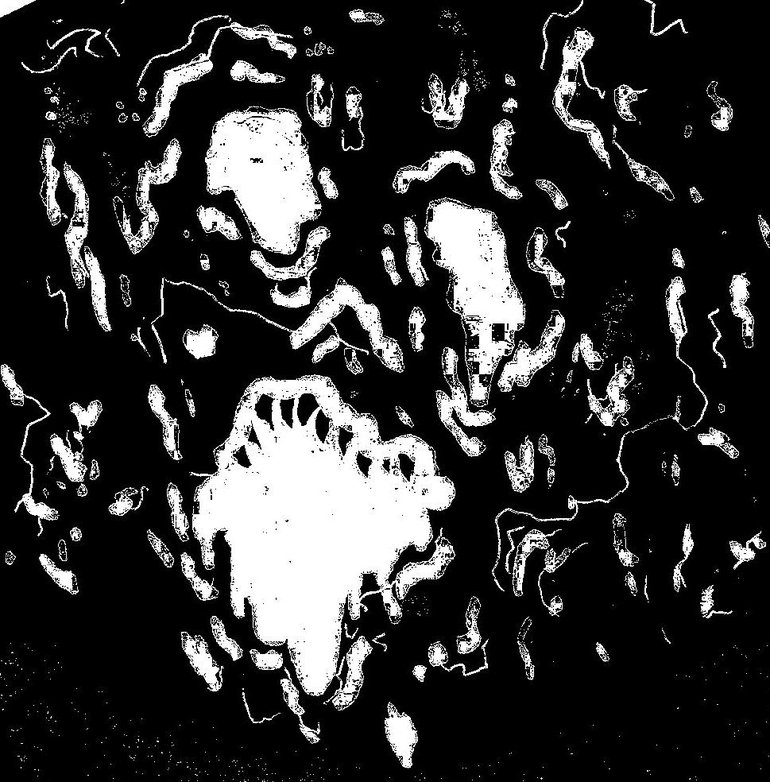 0008292017_10.jpg