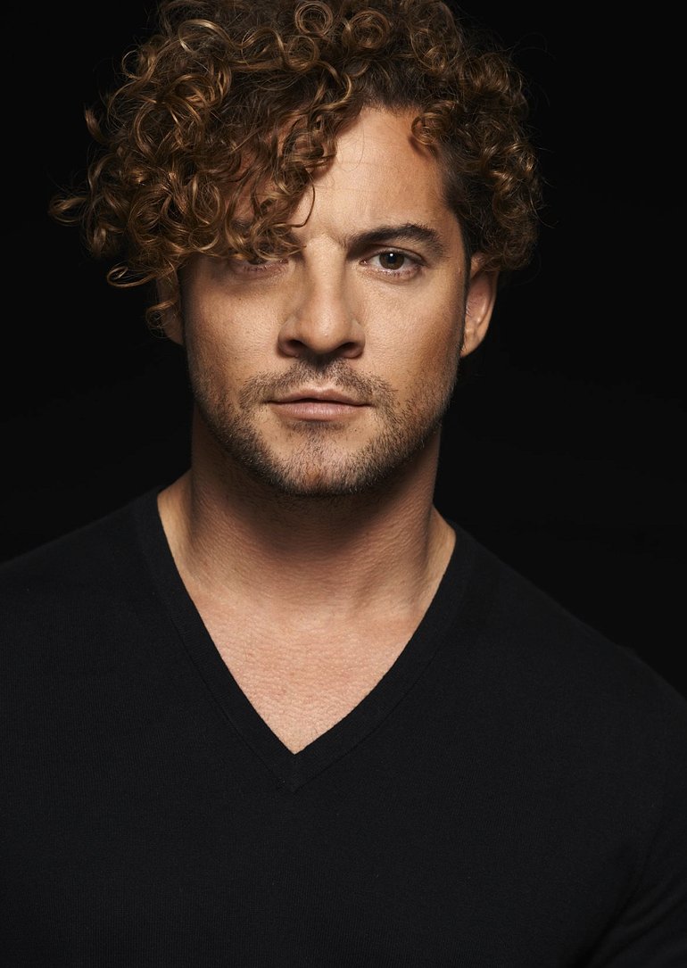David Bisbal Net Worth 2020 Wiki Married Family David Bisbal Net Worth 2020 Wiki Married Family