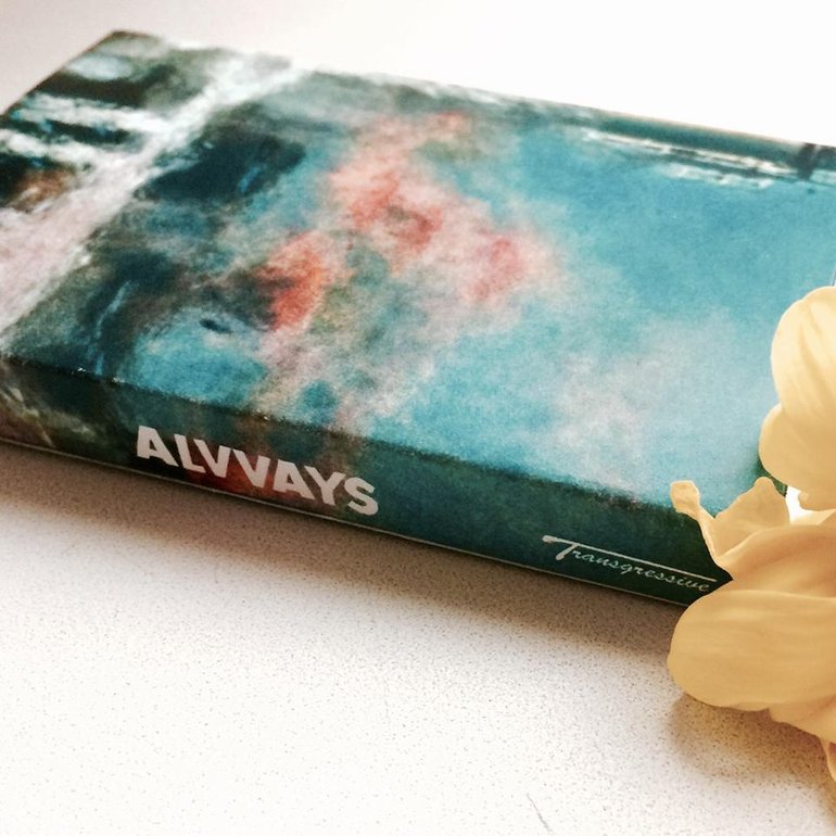 Alvvays Antisocialites B Sides Artwork 3 Of 3 Last Fm Alvvays Antisocialites B Sides Artwork 3 Of 3 Last Fm