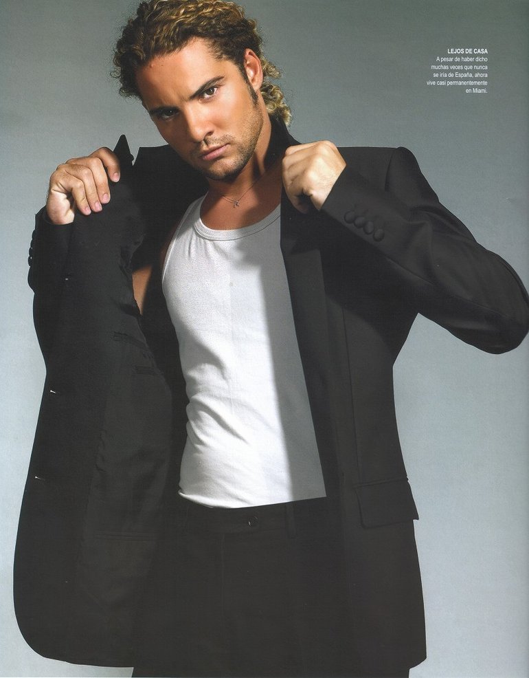 David Bisbal Website