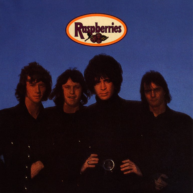 raspberries-5c7803d97ae45.jpg