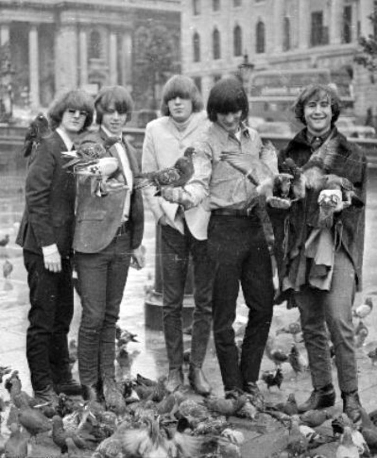 The Byrds with birds