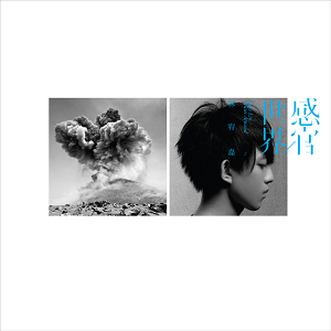 感官/世界 cover