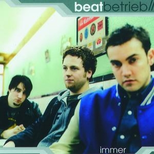 Immer cover