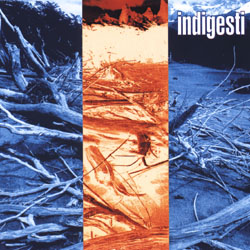 In disparte cover