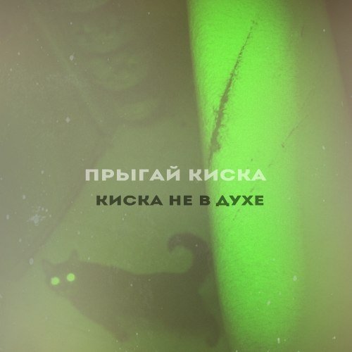 Image of прыгай киска