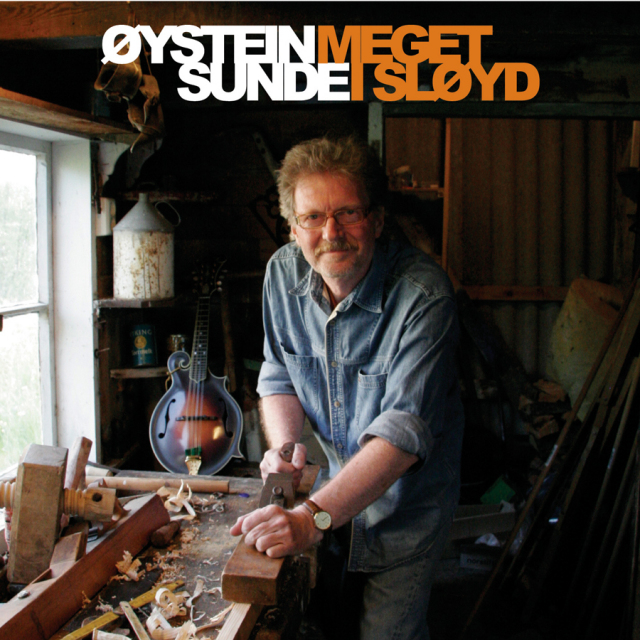 Meget i sløyd cover