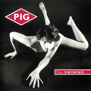The Swining cover