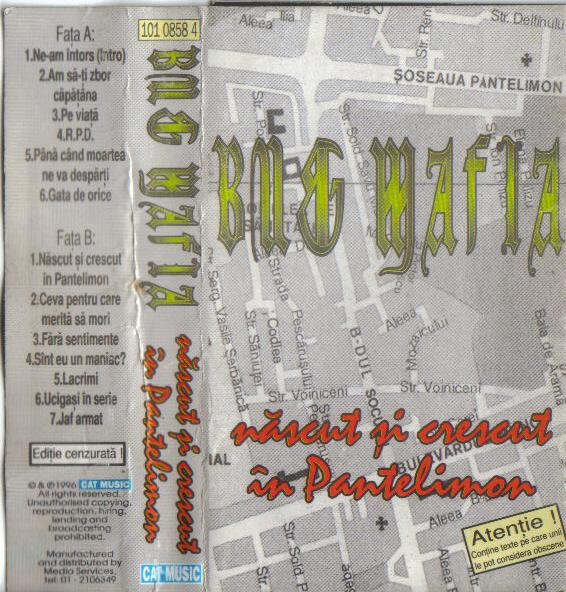 Nascut Si Crescut In Pantelimon cover