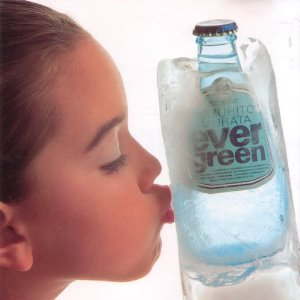 evergreen cover