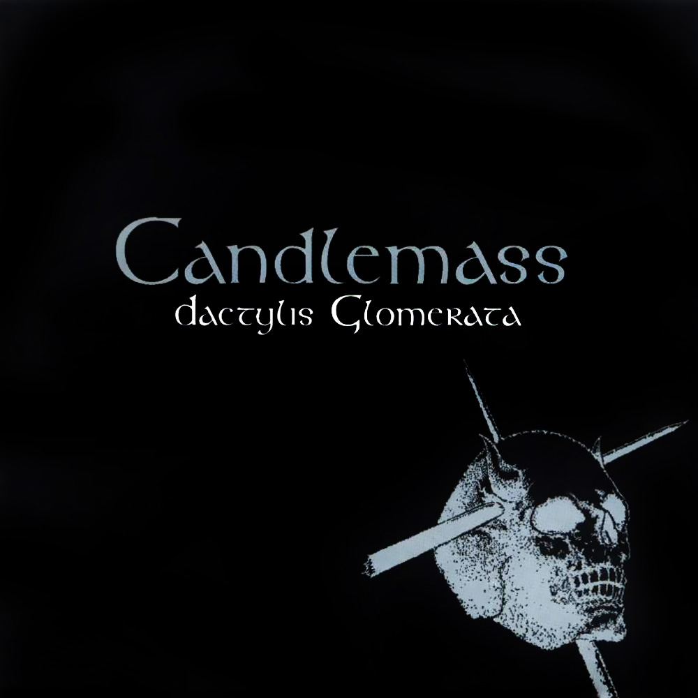 Dactylis Glomerata cover