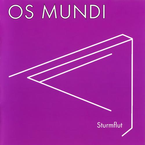 Sturmflut cover