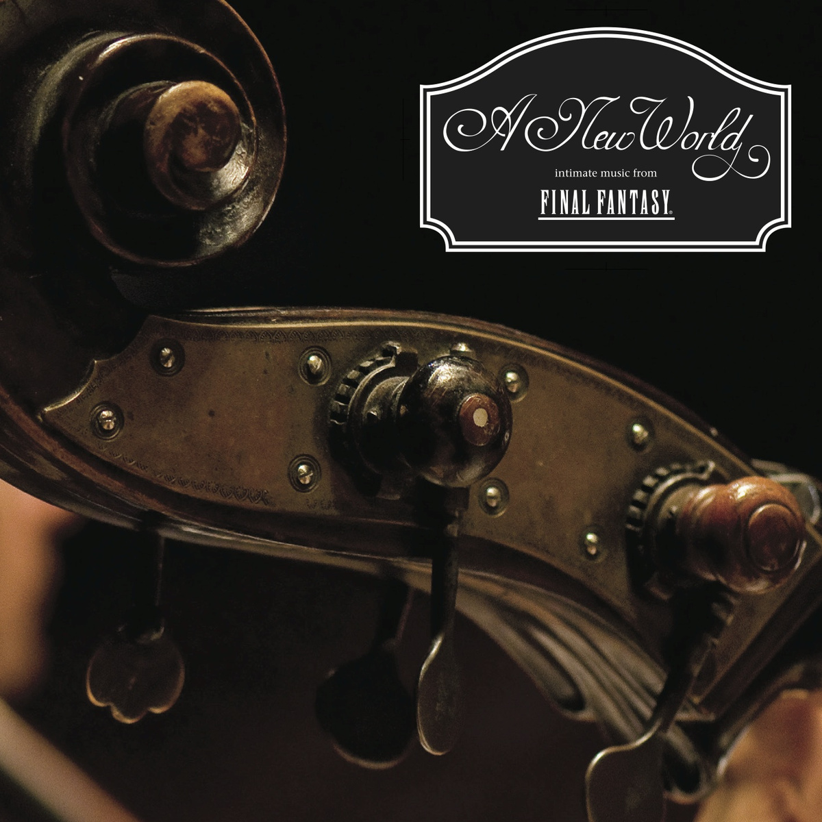 A New World: intimate music from FINAL FANTASY cover