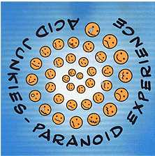 Paranoid Experience cover