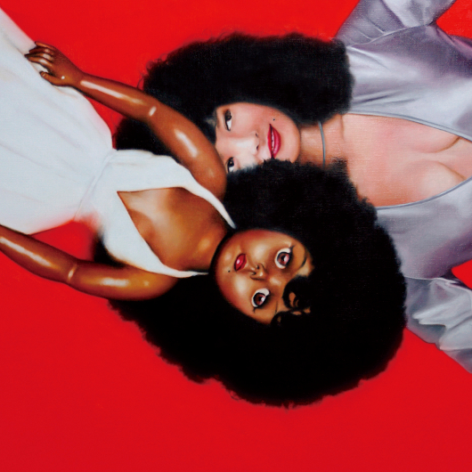 6 cover