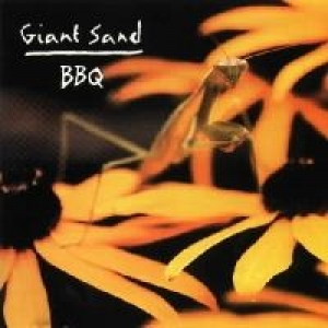 Backyard Barbecue Broadcast cover
