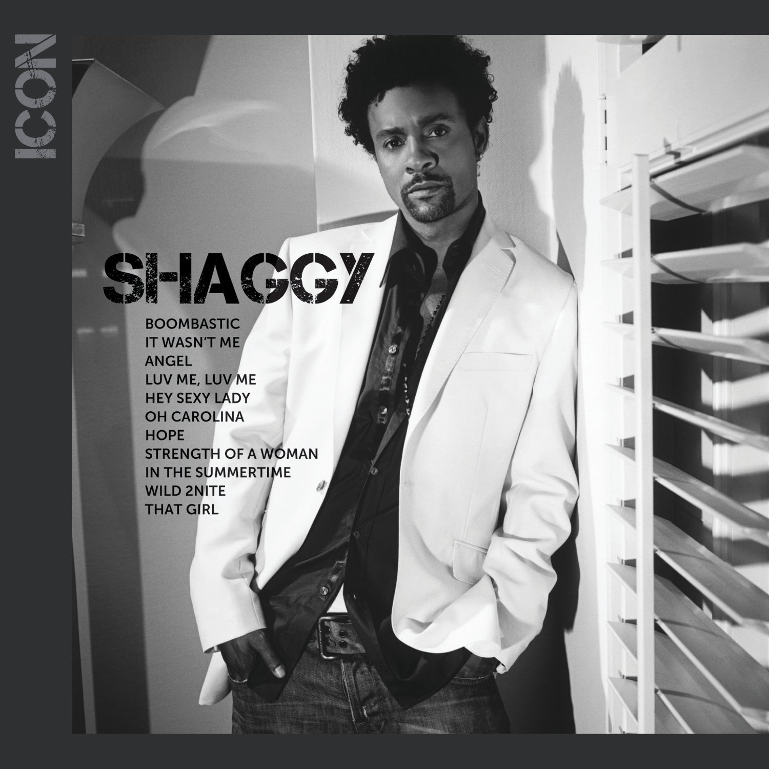 Icon cover