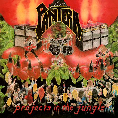 Projects in the Jungle cover