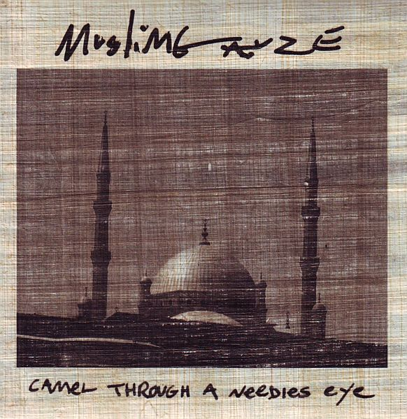Camel Through a Needles Eye cover