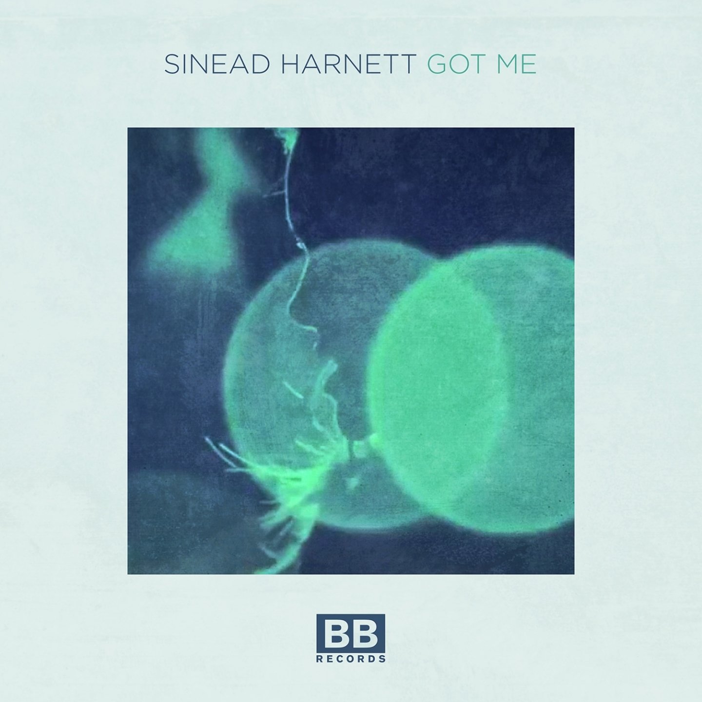 Image of Sinead Harnett