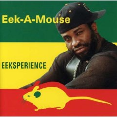 Eeksperience cover