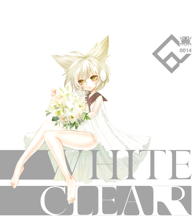 white clear cover