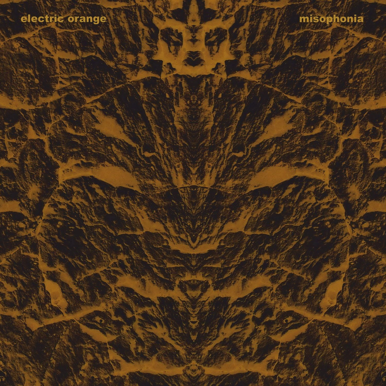 Misophonia cover