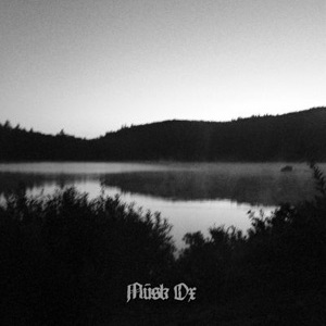 Evolving Synthesized cover