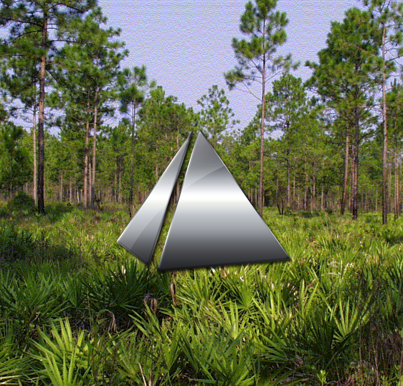☄∑motionswamp cover