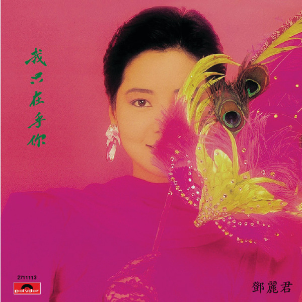 我只在乎你 cover