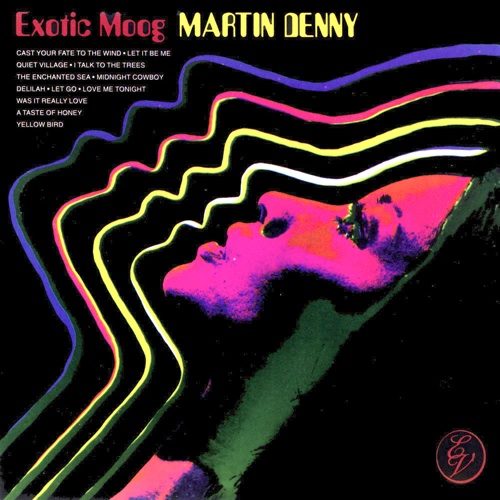 Exotic Moog cover