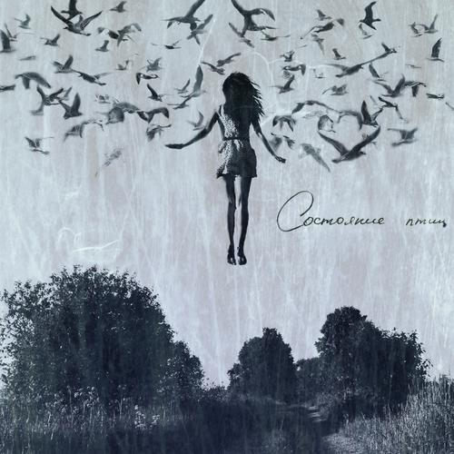 XII cover