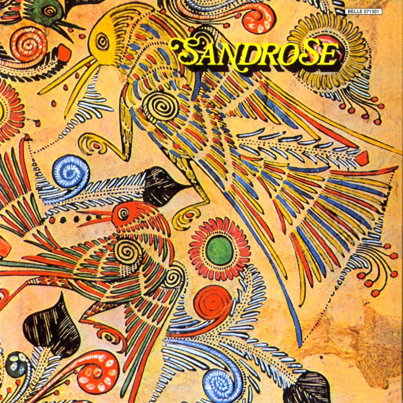 Vision cover